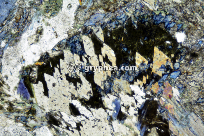 Glaucophane LPA x25 - gryphea.com
